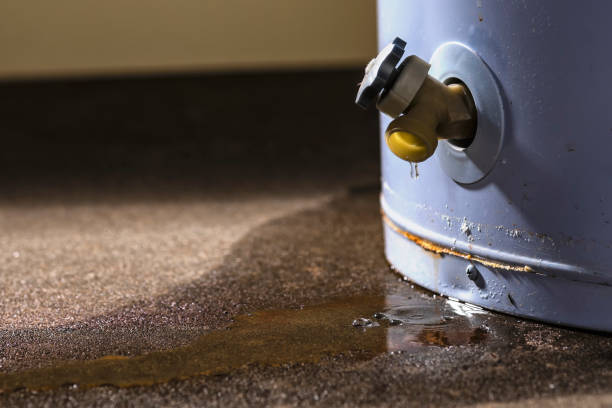 Best Flood damage cleanup  in Washington, KS