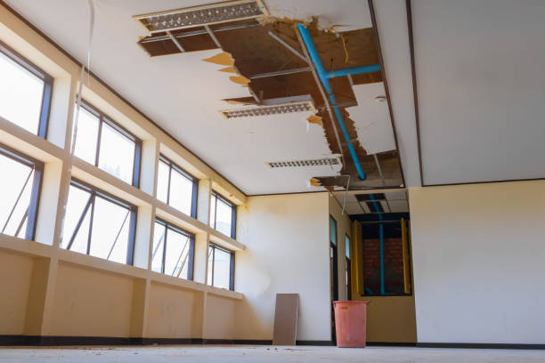 Best Professional water damage repair  in Washington, KS