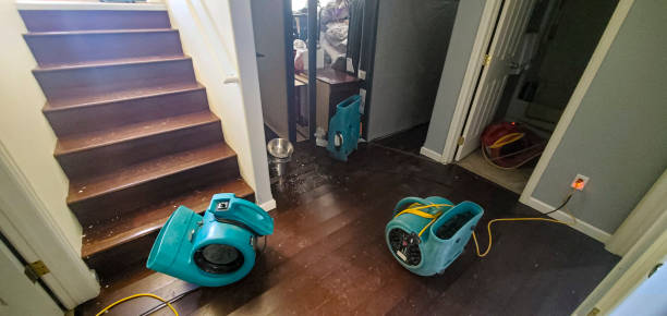 Best Local water damage restoration  in Washington, KS