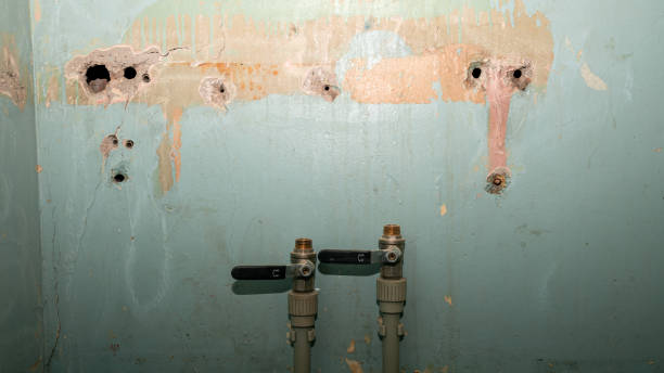 Best Flooded house restoration  in Washington, KS