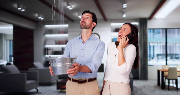 Best Carpet water damage restoration  in Washington, KS