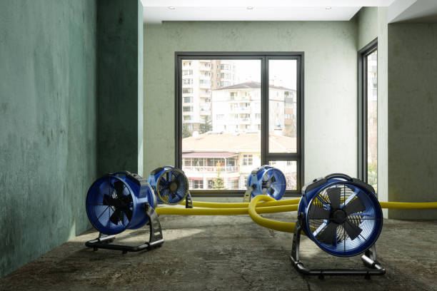 Best Sewage cleanup and water damage restoration  in Washington, KS