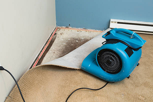 Best 24-hour water damage restoration  in Washington, KS